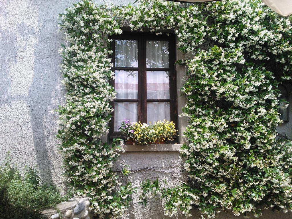 Agriturismo Cassinazza Orsenigo ห้อง รูปภาพ