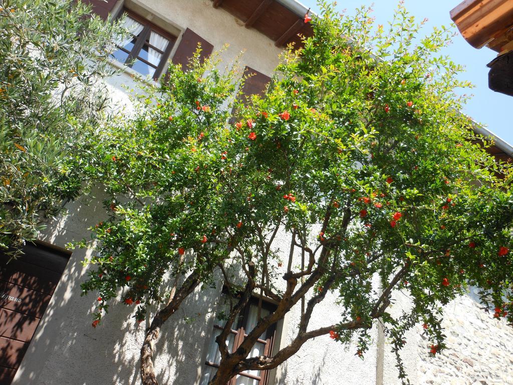 Agriturismo Cassinazza Orsenigo ภายนอก รูปภาพ