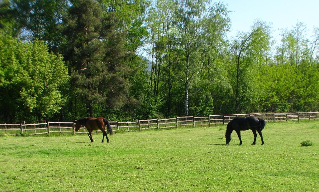 Agriturismo Cassinazza Orsenigo ภายนอก รูปภาพ